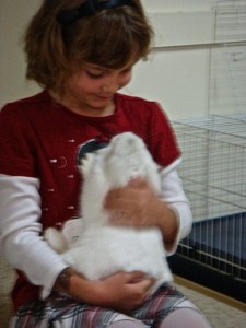 The Blessing of the Pets